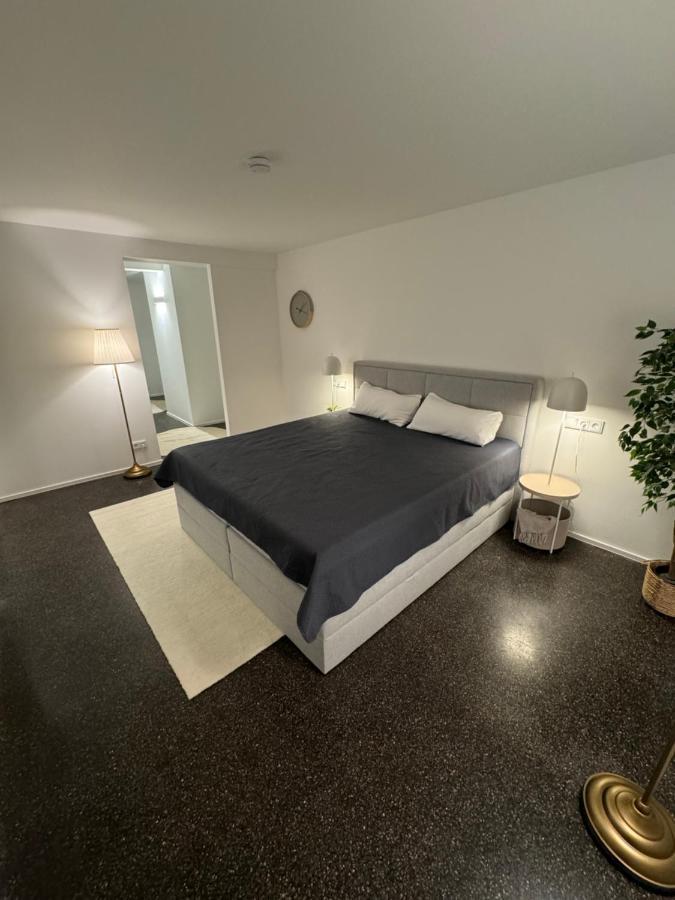 ולדסהוט-טינגן Isaak Appartment Stadtjuwel מראה חיצוני תמונה